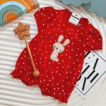 3369-رامپر طرح خرگوش